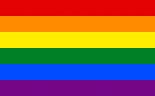 gay flag .png