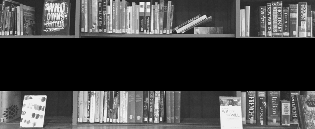 Black and white bookshelf with black censor bar through the center