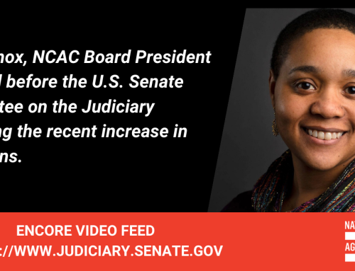 NCAC Board President Emily Knox to testify before U.S. Senate Committee on the Judiciary on Book Ban Surge